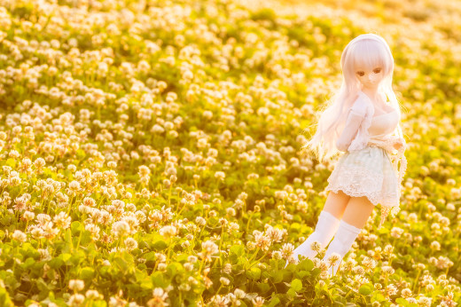 772237 (a): :2800x1860
